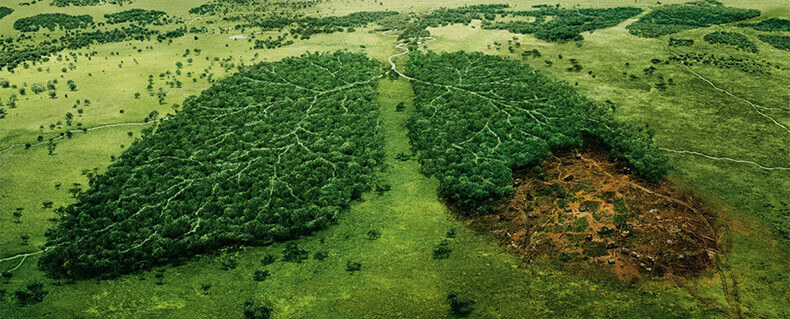 Сохраним окружающую среду, фото Ecolove